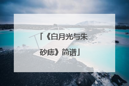 《白月光与朱砂痣》简谱