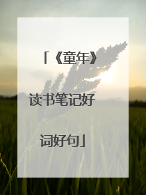 《童年》读书笔记好词好句
