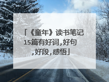 《童年》读书笔记15篇有好词,好句,好段,感悟