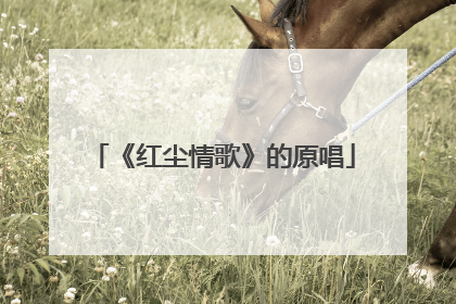 《红尘情歌》的原唱