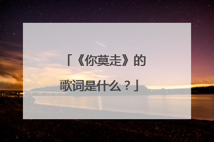 《你莫走》的歌词是什么？