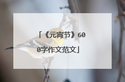 《元宵节》600字作文范文