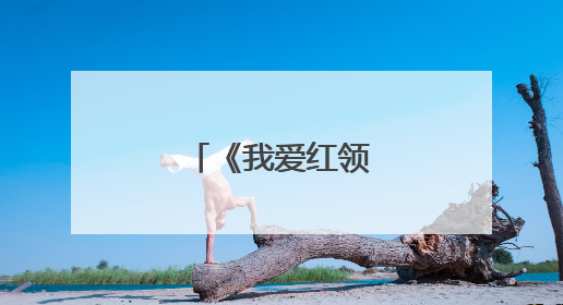 《我爱红领巾》的诗歌