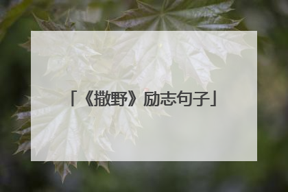 《撒野》励志句子