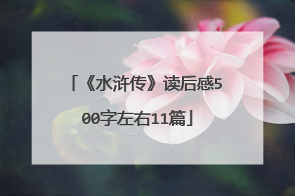 《水浒传》读后感500字左右11篇