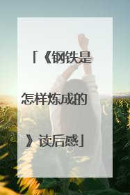 《钢铁是怎样炼成的》读后感