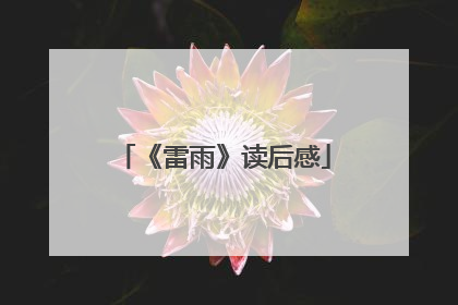《雷雨》读后感