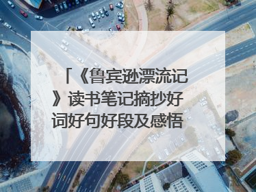 《鲁宾逊漂流记》读书笔记摘抄好词好句好段及感悟是什么?