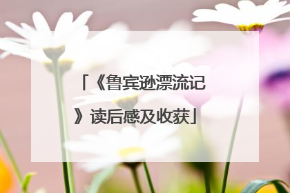 《鲁宾逊漂流记》读后感及收获