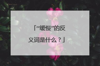 “缓慢”的反义词是什么？