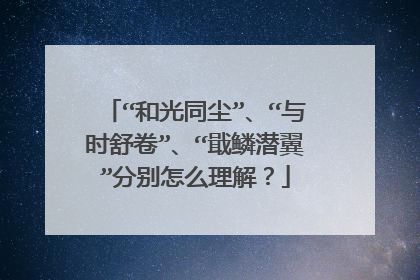 “和光同尘”、“与时舒卷”、“戢鳞潜翼”分别怎么理解？