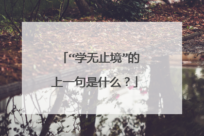 “学无止境”的上一句是什么？