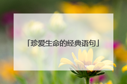 珍爱生命的经典语句