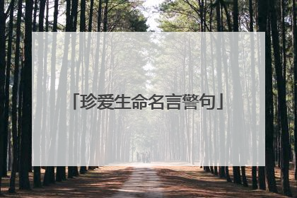 珍爱生命名言警句