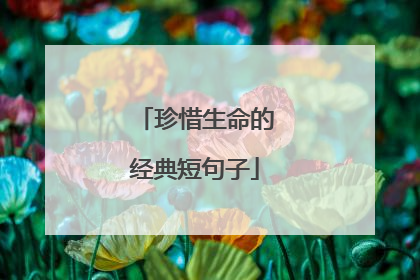 珍惜生命的经典短句子
