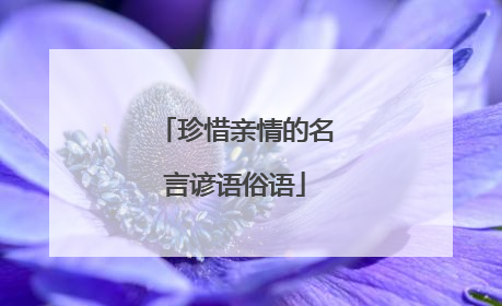 珍惜亲情的名言谚语俗语