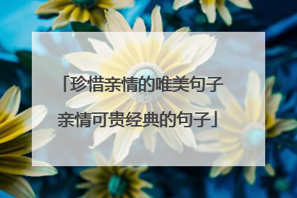 珍惜亲情的唯美句子 亲情可贵经典的句子
