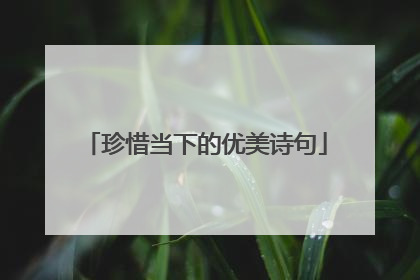 珍惜当下的优美诗句