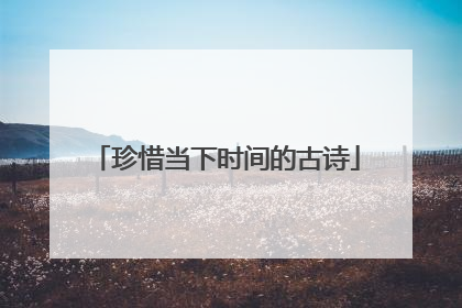 珍惜当下时间的古诗