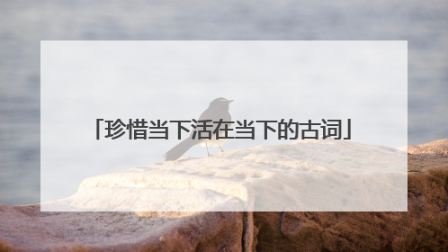 珍惜当下活在当下的古词