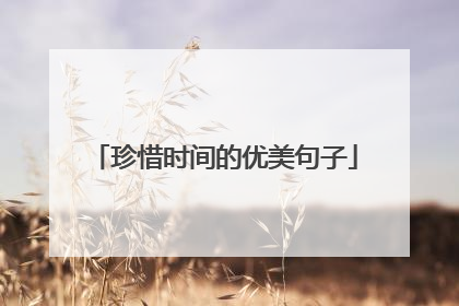 珍惜时间的优美句子