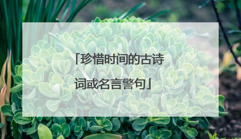 珍惜时间的古诗词或名言警句