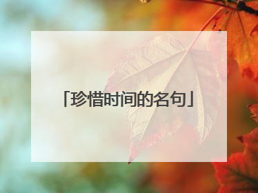珍惜时间的名句