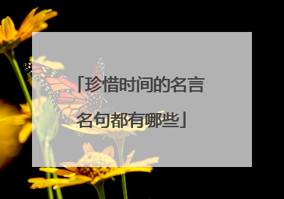 珍惜时间的名言名句都有哪些