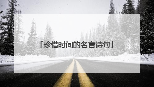 珍惜时间的名言诗句