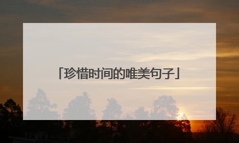 珍惜时间的唯美句子