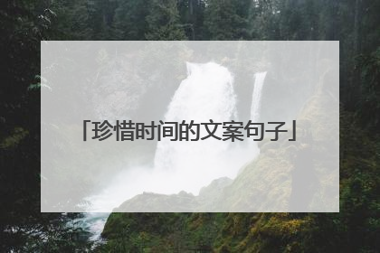 珍惜时间的文案句子