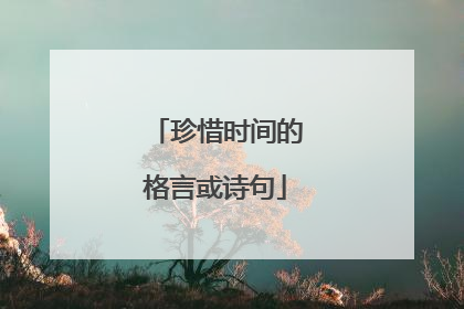 珍惜时间的格言或诗句