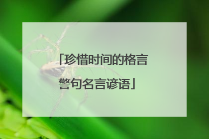 珍惜时间的格言警句名言谚语