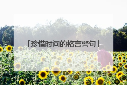 珍惜时间的格言警句