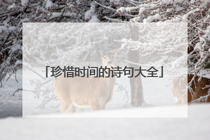 珍惜时间的诗句大全