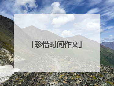 珍惜时间作文