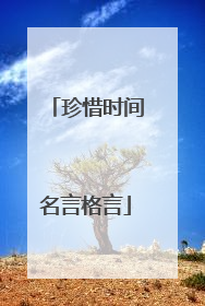 珍惜时间名言格言