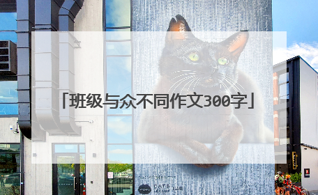 班级与众不同作文300字