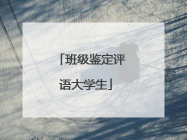 班级鉴定评语大学生