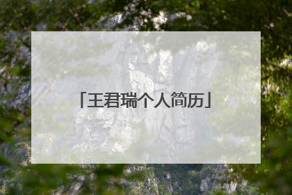 王君瑞个人简历