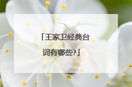 王家卫经典台词有哪些?