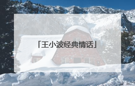 王小波经典情话