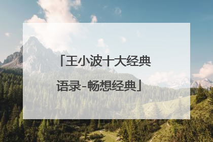 王小波十大经典语录-畅想经典
