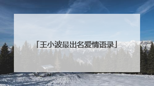 王小波最出名爱情语录