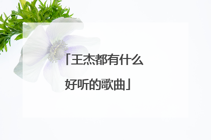 王杰都有什么好听的歌曲