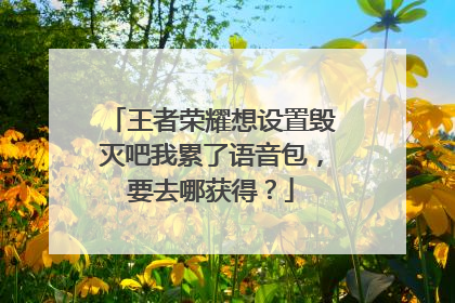王者荣耀想设置毁灭吧我累了语音包，要去哪获得？