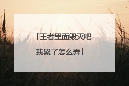 王者里面毁灭吧我累了怎么弄
