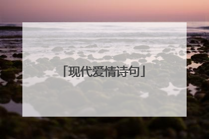 现代爱情诗句