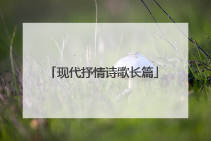 现代抒情诗歌长篇