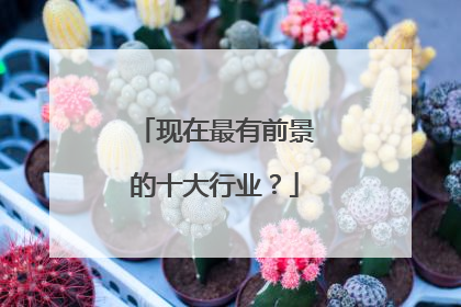 现在最有前景的十大行业？